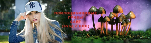 PSILOCYBIN Алзамай