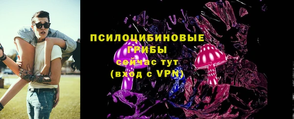 дурь Алексин